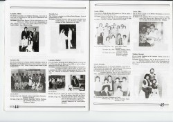 vvb 4 p24 50 vvb 4 p24 50