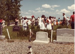 vvb 368 70 50 vvb 368 70 50