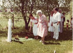 vvb 371 73 50 vvb 371 73 50