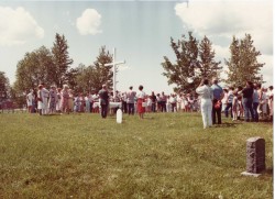 vvb 375 77 50 vvb 375 77 50