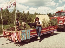 vvb 378 80 50 vvb 378 80 50