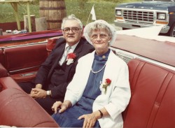 vvb 382 84 50 vvb 382 84 50