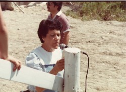 vvb 391 93 50 vvb 391 93 50