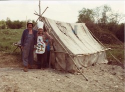 vvb 411 113 50 vvb 411 113 50