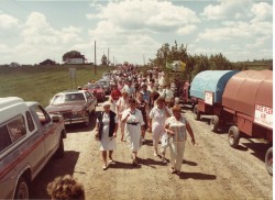 vvb 433 134 50 vvb 433 134 50