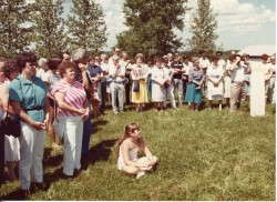 vvb 443 144 50 vvb 443 144 50