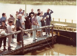 vvb 446 147 50 vvb 446 147 50