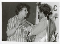 vvb 461 162 50 vvb 461 162 50