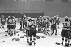 P114 S10 SS1 D13 P1 1976  1er f  vrier Forestiers et Domtar  1 