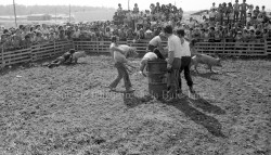 P114 S10 SS1 D66 P5 F  tes 10e Qu  villon 20 au 22 ao  t 1976  5 