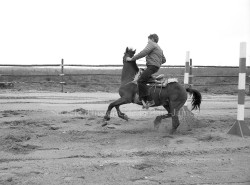 P114 S11 SS1 D24 05  Piste   quitation selker rod  o 27 ao  t 1977