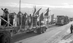 P114 S12 SS1 D56 Parade P  re No  l ass. march 16 d  c. 1978  2 