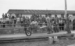 P114 S14 SS1 D42 P5 Festival b  cheron 2 au 5 octobre 1980  5 