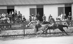 P114 S15 SS1 D23 P6 Festival Western 3 au 12 juillet 1981  6 
