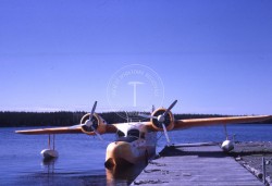 P164 S1 D1 P5