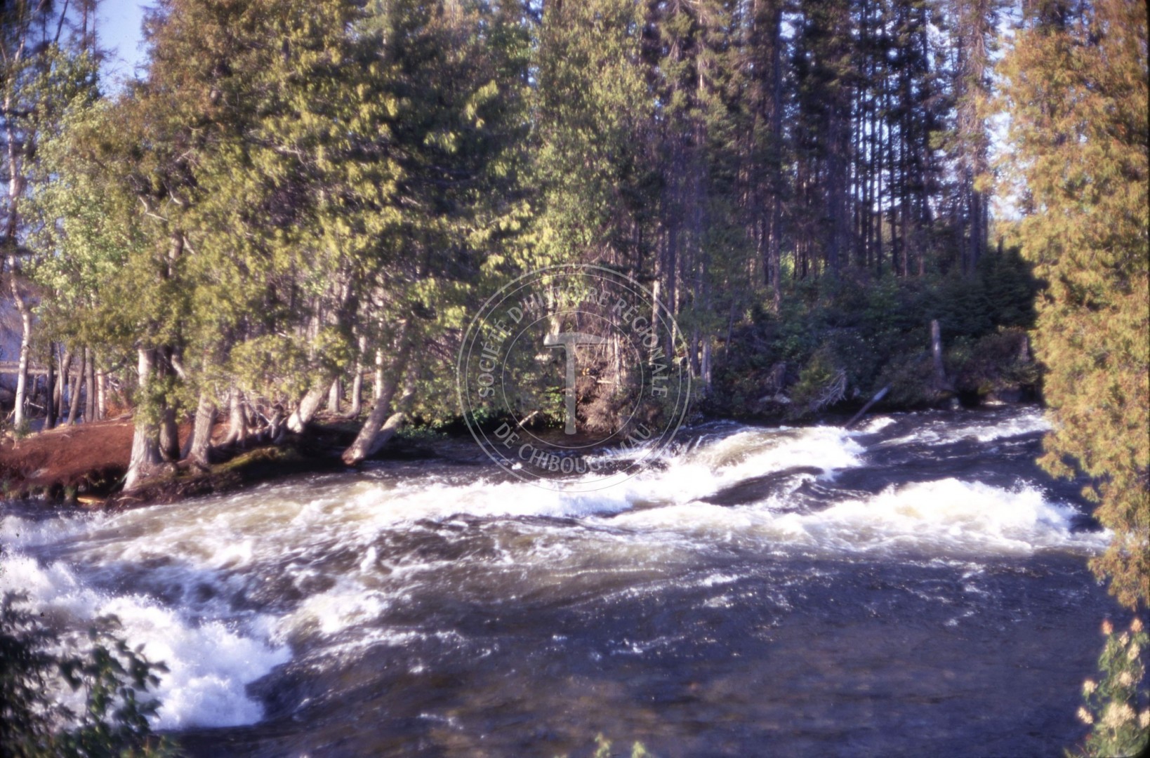 P166 S1 D14 P1 33